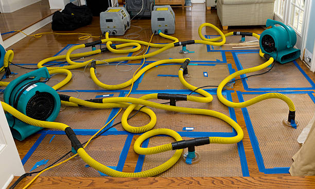 Professional Sewage Cleanup technician working in Brokaw, WI